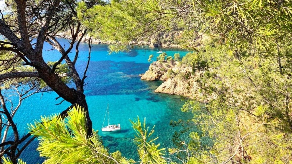 Superbe Appartement En Bord De Mer Bandol Kültér fotó
